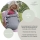 Aurora Silvergrey - Sommertrage aus Musselin
